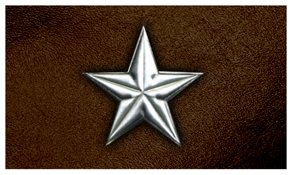DNSEMP-C-430-SL-BR Star Silver-Brown